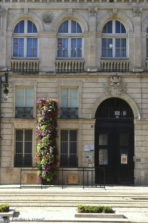 Fleurissement-rue-Jeanne-d'Arc