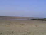 DSC02224