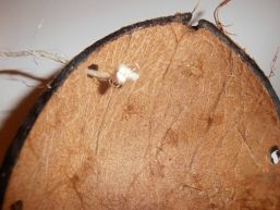 mangeoire (11)