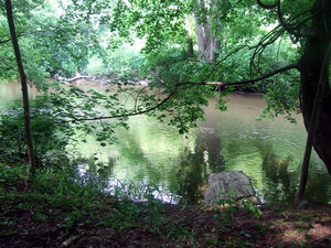 DSCF2649