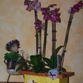 Exemple cache pot (grand format) selon votre envie 35€