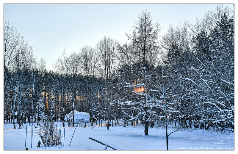 IMG_0954_5_6-1