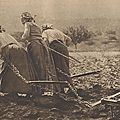1917 : trois robustes paysannes