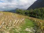 19_201007_025