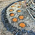 pois avec boue de d'oxyde de fer orange sur mandala yurtao