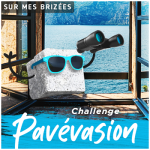 logo-challenge-pavevasion