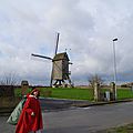 IMGP1991
