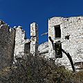 P1070419 - Copie