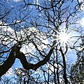 IMG_8500