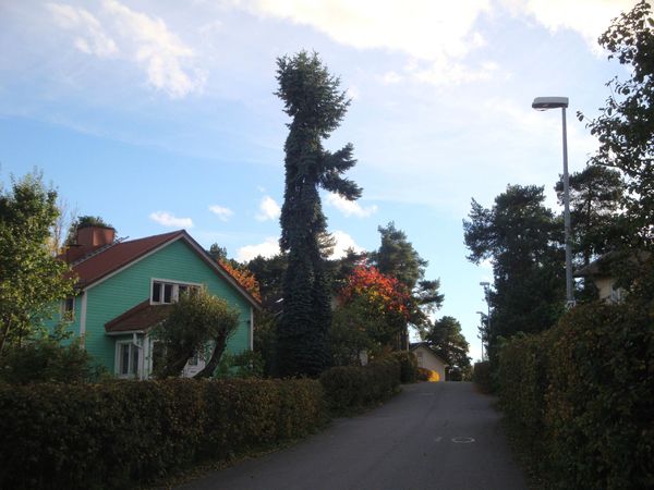 DSC01127