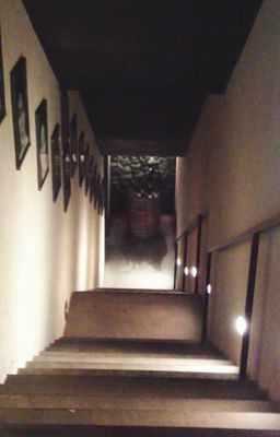 46