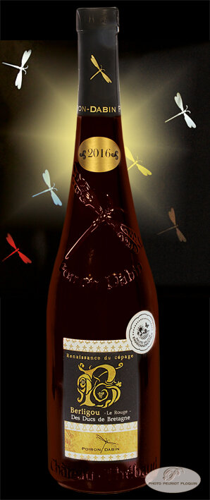 POIRON_DABIN_BERLIGOU_rouge
