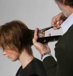aurore-coupe-courte-2
