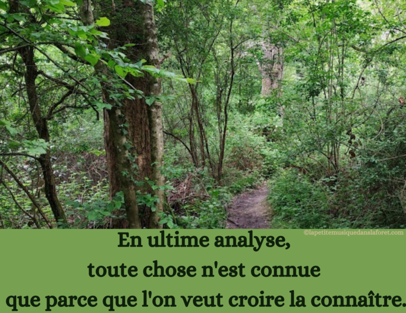 04 KOAN ZEN En ultime analyse toute chose n'est connue que parce que