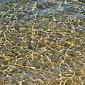 Rivage, moires et éclats du matin ...