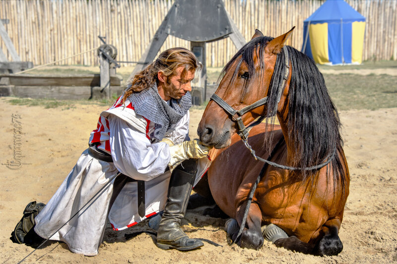 L'Histoire de l'équitation et du cheval le dressage du Cheval de selle Château Tiffauges cie Capalle (4)