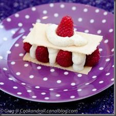 FeuilleteFramboises-12