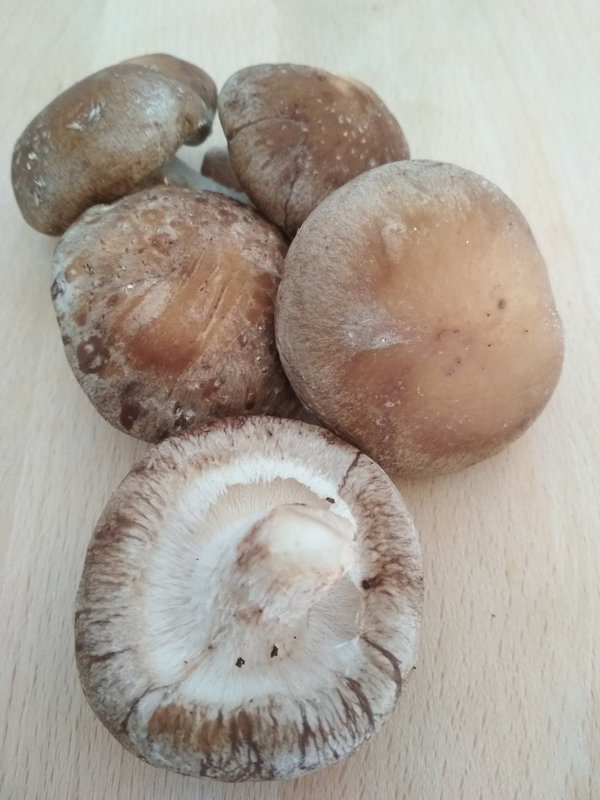 Shiitaké CUISINE YAKUZEN