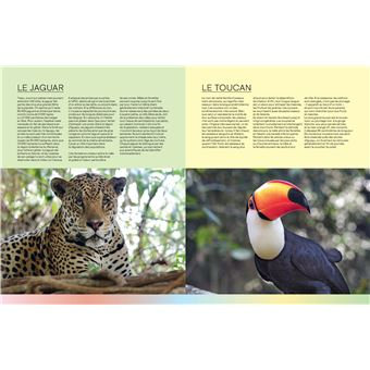 Merveilles-de-la-nature-sept-sites-exceptionnels-a-preserve (1)