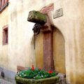 IMGP4753