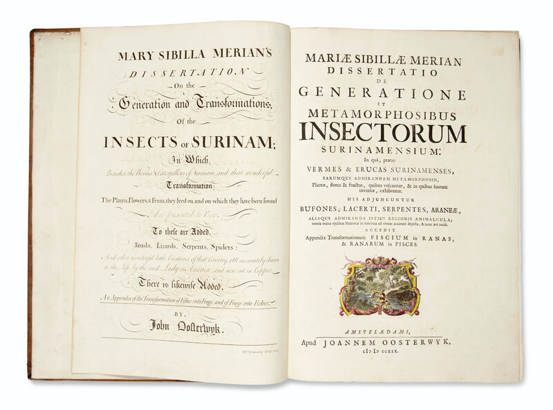 2021_NYR_19024_0157_000(merian_maria_sibylla_dissertatio_de_generatione_et_metamorphosibus_ins125524)