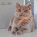 _DSC0547
