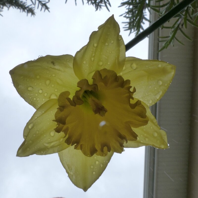 P1140995