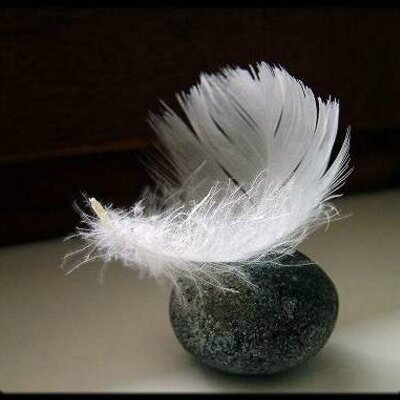 Image-Petite-Plume