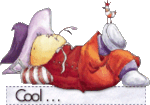 cool_bear