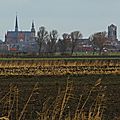 IMGP2828