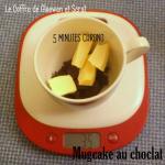 Mugcake au chocolat -recette facile (2)