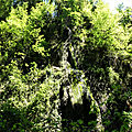 P1120741 (2)