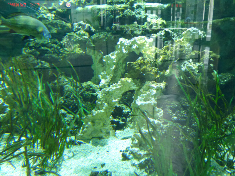 08 Cité Aquarium (23)