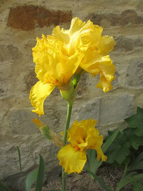 00 28
