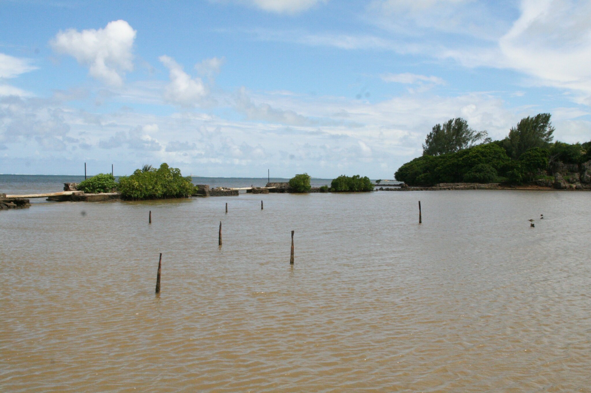 Du Barachois aux cascades de Grande Rivière SudEst Tant que n'Aura