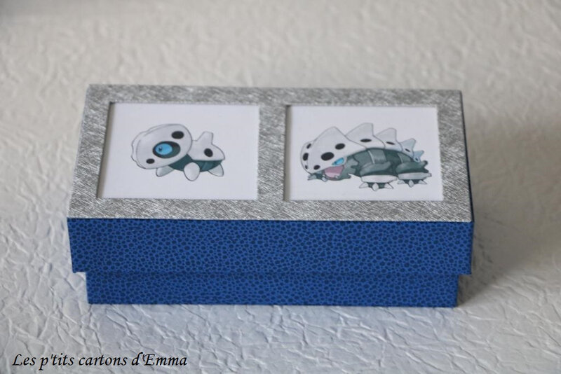 Boite Pokemon bleue 1b