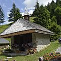 _DSC0486
