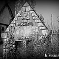 DSC08557