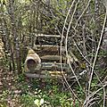 sivensbuzet (48)