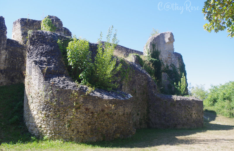 && château fort (2)