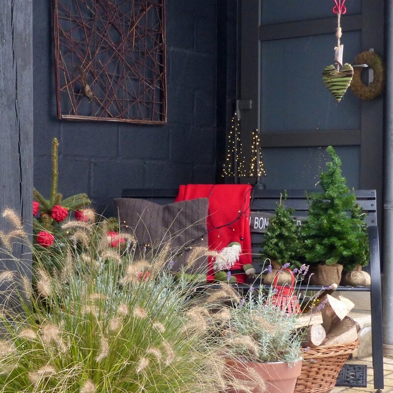 aaa suite et fin ambiance jardin noel 20171
