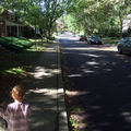 The neighborhood