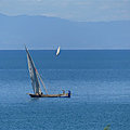 P1170164