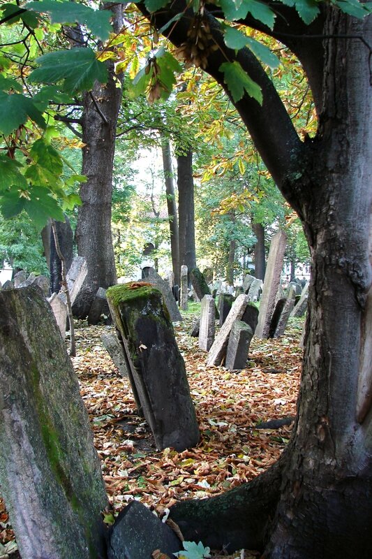 Prague cimetière juif 6