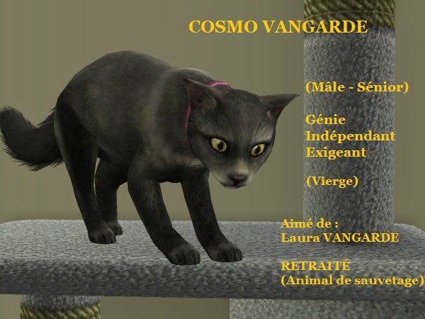 COSMO VANGARDE