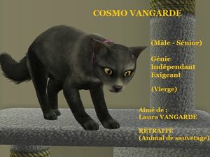 COSMO VANGARDE