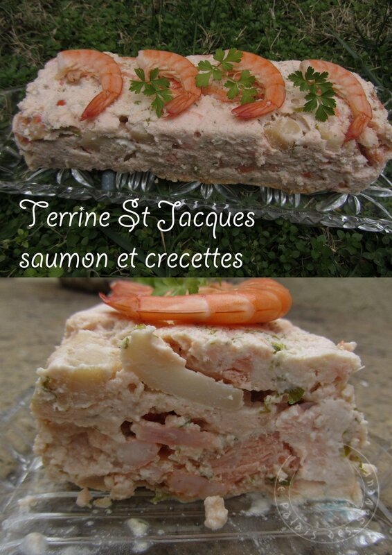 Terrine de Saint-Jacques, saumon et crevettes - Le Palais des Saveurs