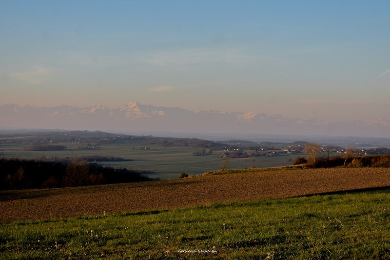 DSC_0600