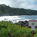 P1230765 (Copier)