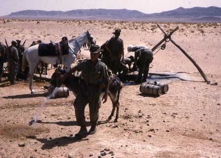 12_RCA_NONNEZ_2serie_Guellalia_8_op__chevaux